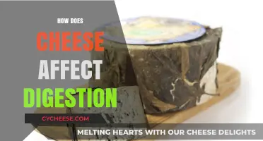 Cheese and Digestion: Understanding Its Impact on Your Gut Health