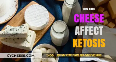 Cheese and Ketosis: Impact on Fat Burning and Diet Success