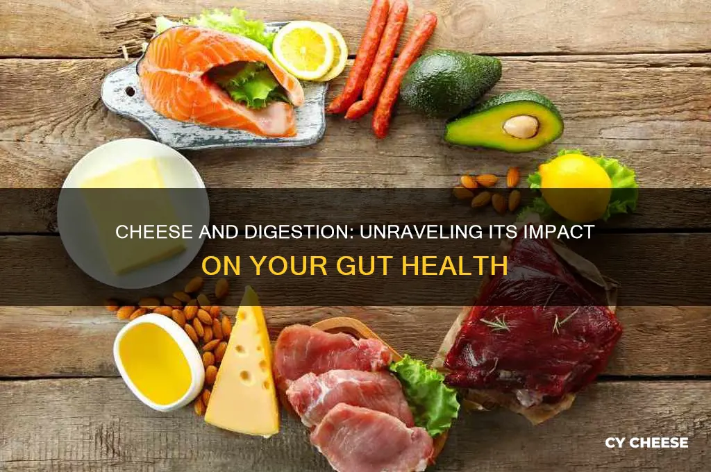 how does cheese affect the digestive tract system