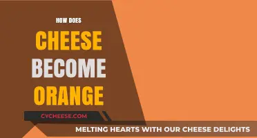 Why Cheese Turns Orange: Uncovering the Surprising Color Transformation