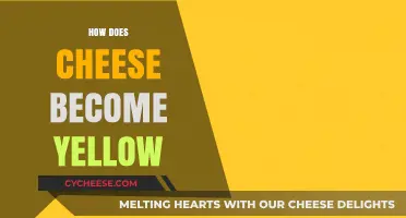 Why Cheese Turns Yellow: Uncovering the Science Behind Its Color