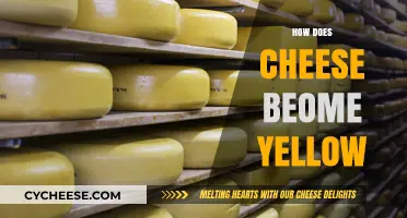 Why Cheese Turns Yellow: Uncovering the Science Behind Its Color
