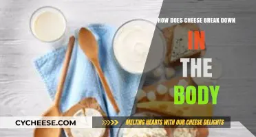 How Cheese Digests: Understanding Its Breakdown in the Human Body
