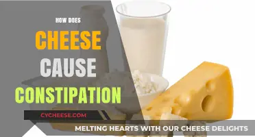 Cheese and Constipation: Understanding Dairy's Impact on Digestion