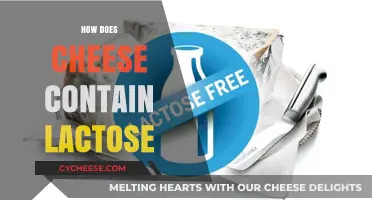 Understanding Lactose in Cheese: A Comprehensive Guide to Its Presence