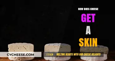 The Science Behind Cheese Skin Formation