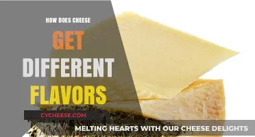 The Art of Flavoring Cheese: A Culinary Adventure