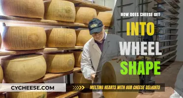 Crafting Cheese Wheels: The Art of Shaping Deliciousness