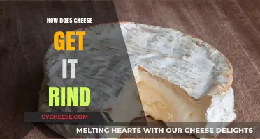 The Science Behind Cheese Rind Formation