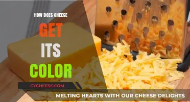 Cheese Color Chemistry: Natural vs Artificial