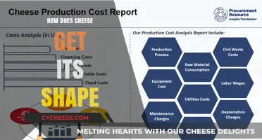 Cheese Molds: Shaping Delicious Varieties