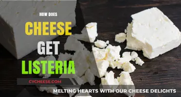 Listeria in Cheese: How Does it Happen?
