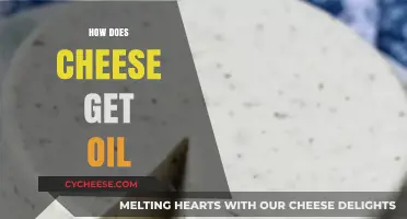 Cheese-Making: The Science Behind Oil Formation