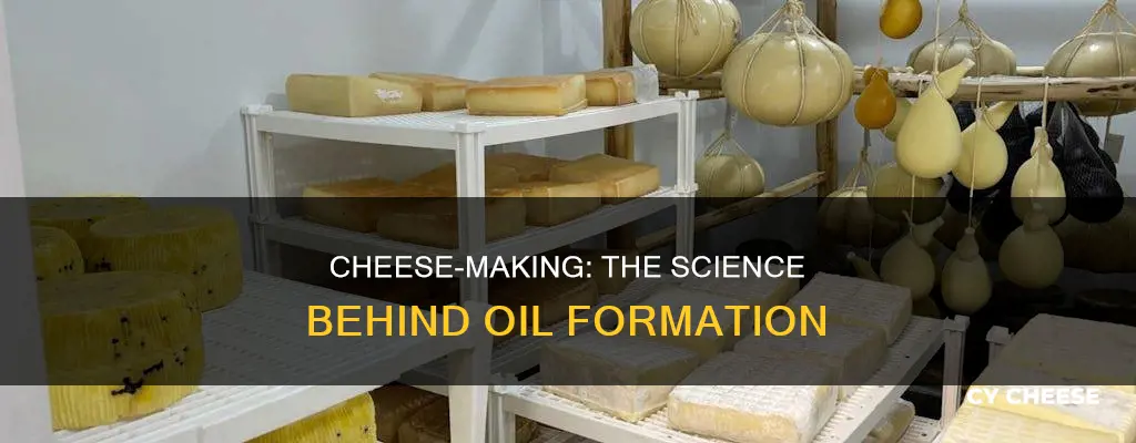 how does cheese get oil