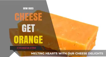 The Mystery of Orange Cheese: Unraveling the Process