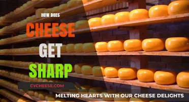 The Science Behind Sharp Cheeses