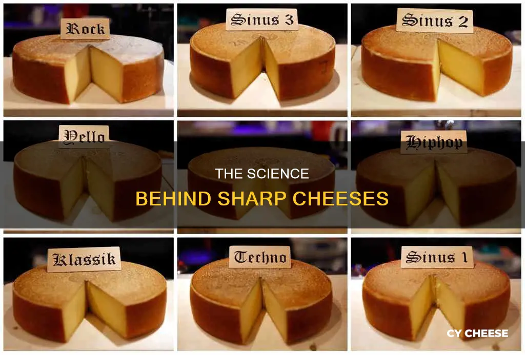 how does cheese get sharp
