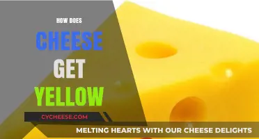 The Science Behind Yellow Cheese