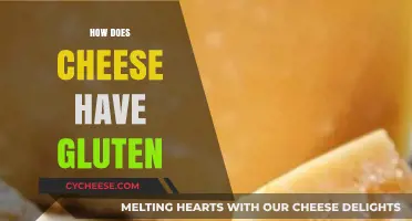 Does Cheese Contain Gluten? Unraveling the Facts for a Safe Diet