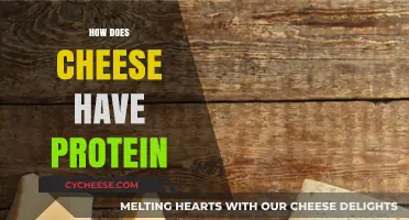 Cheese's Protein Power: Uncovering Dairy's Nutritional Benefits and Sources