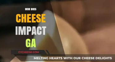 Cheese's Surprising Influence on Georgia's Economy and Culinary Culture