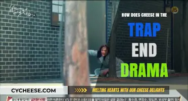 Cheese in the Trap Drama Finale: Unraveling the Unexpected Conclusion