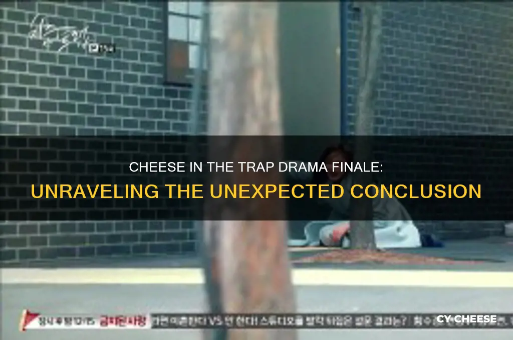 how does cheese in the trap end drama
