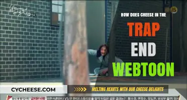 Cheese in the Trap Webtoon Finale: Unraveling the Dramatic Conclusion