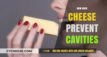 Cheese's Secret: How Dairy Delights Fight Cavities Naturally