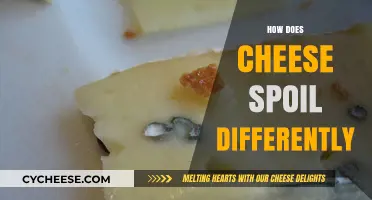 Understanding Cheese Spoilage: Unique Ways Different Types Go Bad