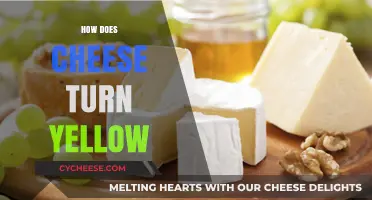 Why Cheese Turns Yellow: Uncovering the Science Behind Its Color