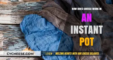 Instant Pot Cheese Magic: Mastering Melty, Creamy Recipes Effortlessly