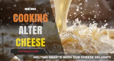 Cheese Transformation: Cooking Methods and Their Magical Effects