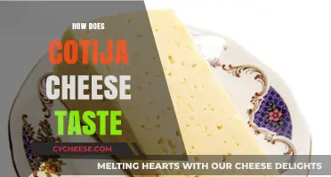 Exploring Cotija Cheese: A Tangy, Salty, Crumbly Flavor Adventure