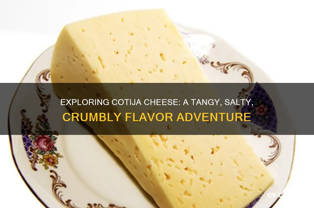 how does cotija cheese taste