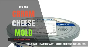 Understanding Cream Cheese Mold: Causes, Prevention, and Safety Tips