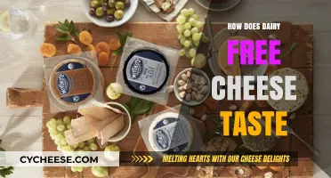 Taste Test: Dairy-Free Cheese