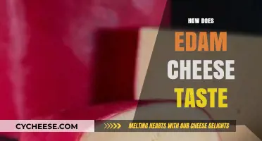 Exploring the Unique Flavor Profile of Edam Cheese: A Tasting Guide