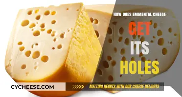 The Mystery of Emmental Cheese Holes Explained