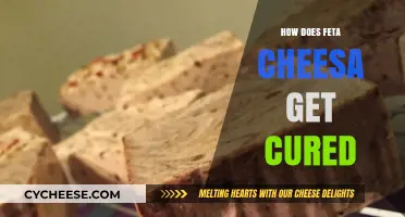 Feta Cheese Curing: A Step-by-Step Guide