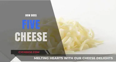 Exploring the Rich Flavors of Five Cheese Blends in Cooking