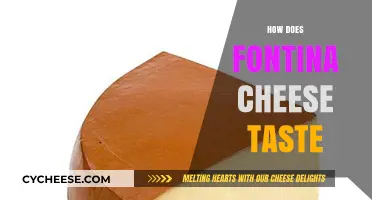 Exploring Fontina Cheese: A Rich, Nutty, and Creamy Flavor Profile