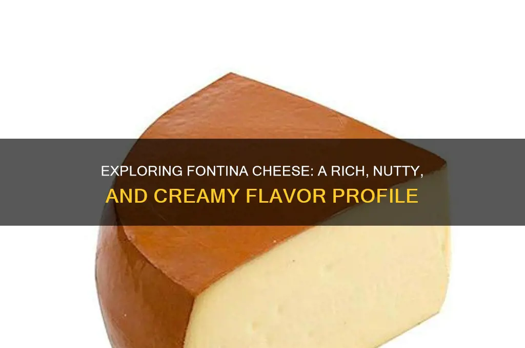 how does fontina cheese taste