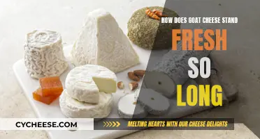 Goat Cheese: Long-Lasting Freshness Secrets Revealed