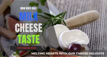 Goat Milk Cheese: A Tangy, Salty, Sweet Adventure
