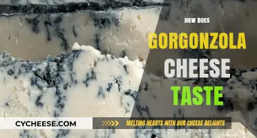 Exploring Gorgonzola: A Bold, Creamy, and Pungent Cheese Experience
