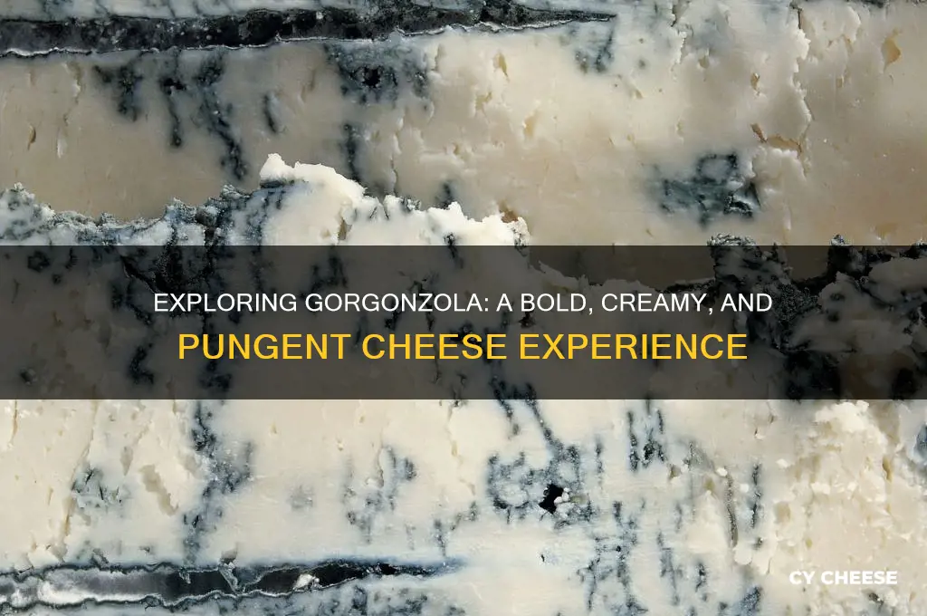 how does gorgonzola cheese taste