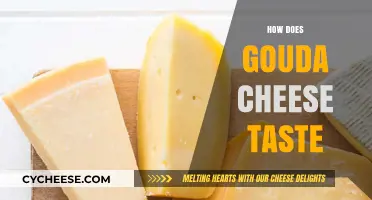 Exploring Gouda Cheese: A Rich, Nutty, and Buttery Flavor Journey