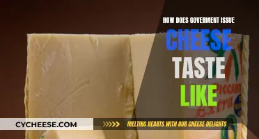 The Government Cheese Taste Test