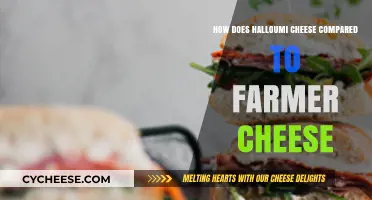 Halloumi vs. Farmer Cheese: Texture, Taste, and Culinary Uses Compared